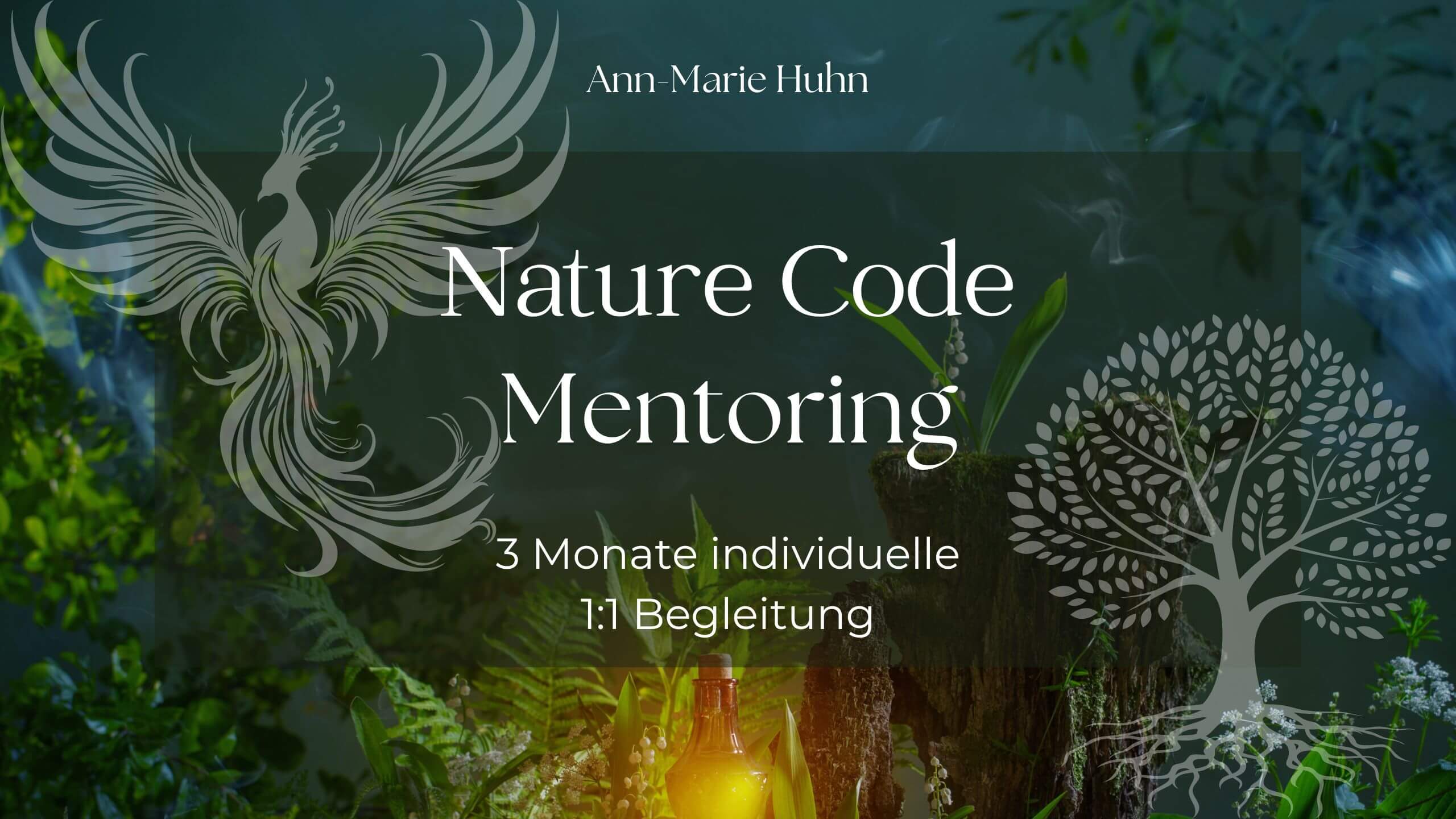 Nature Code Mentoring