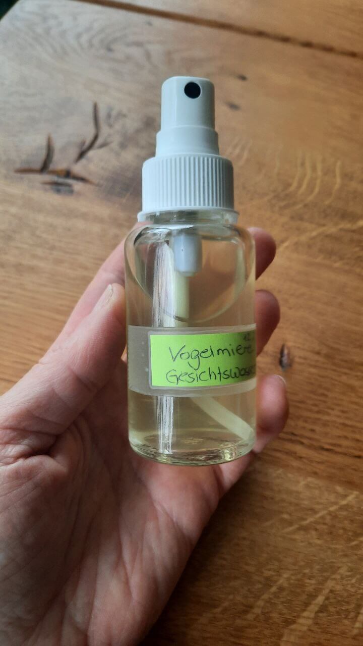 Vogelmiere-Gesichtswasser